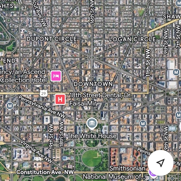 Meet your Posher, Meezy - Picture 1 of 1